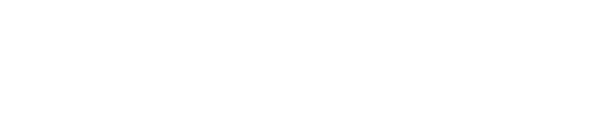 Finish Line logo