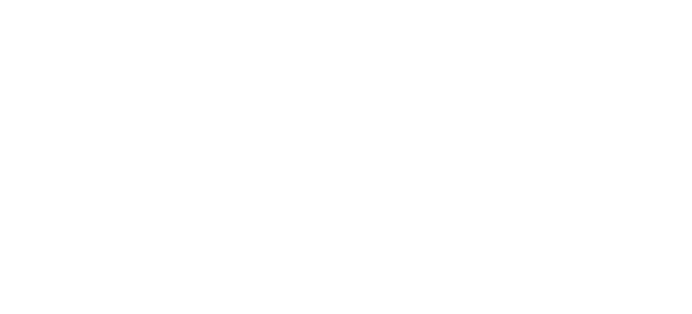 Elizee logo