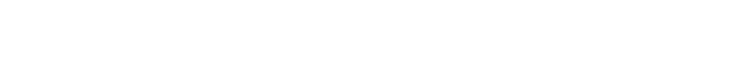 Nili Lotan logo