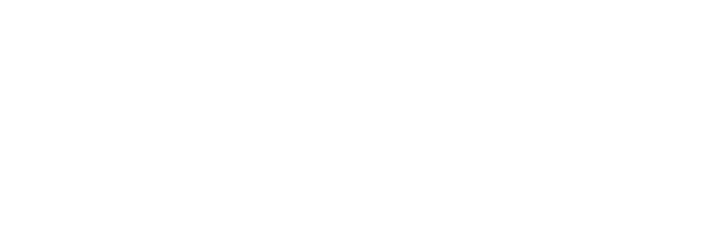 12th Tribe logo