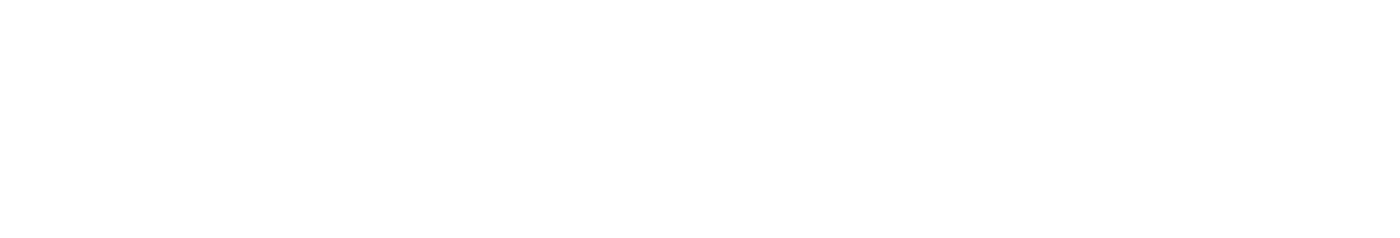 Nugnes logo