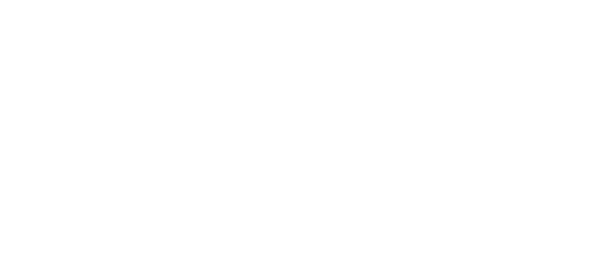 Prakti Beauty logo