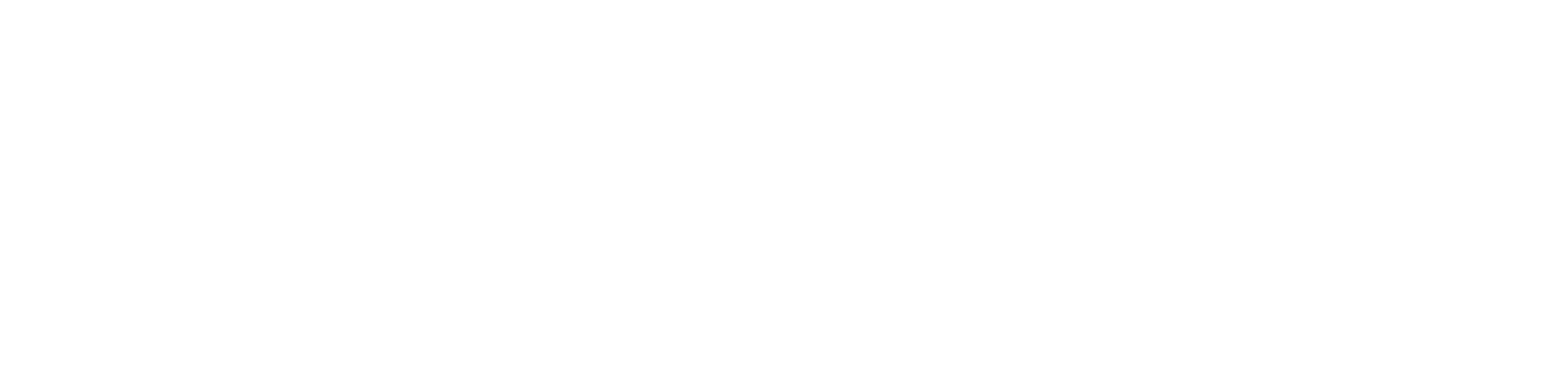 The Noli Shop logo
