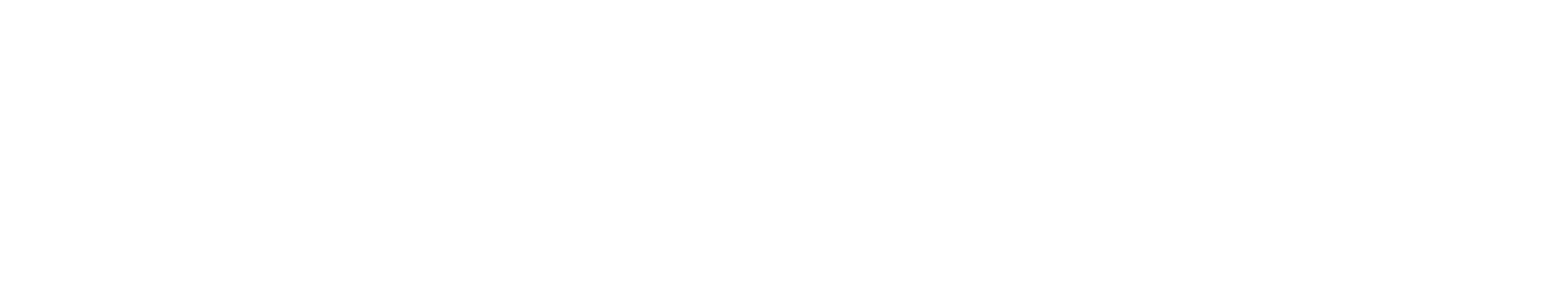 Stuart Weitzman logo