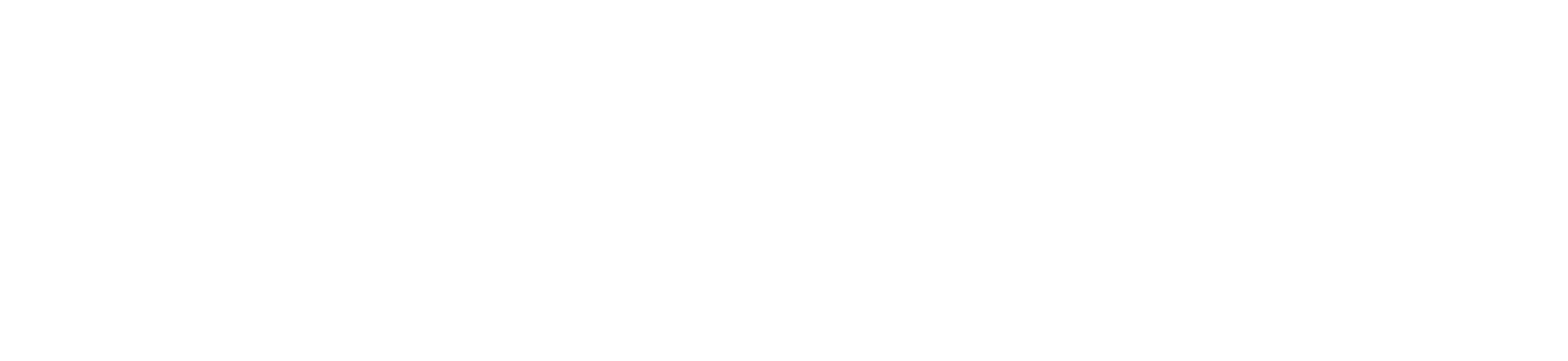 AKNVAS logo