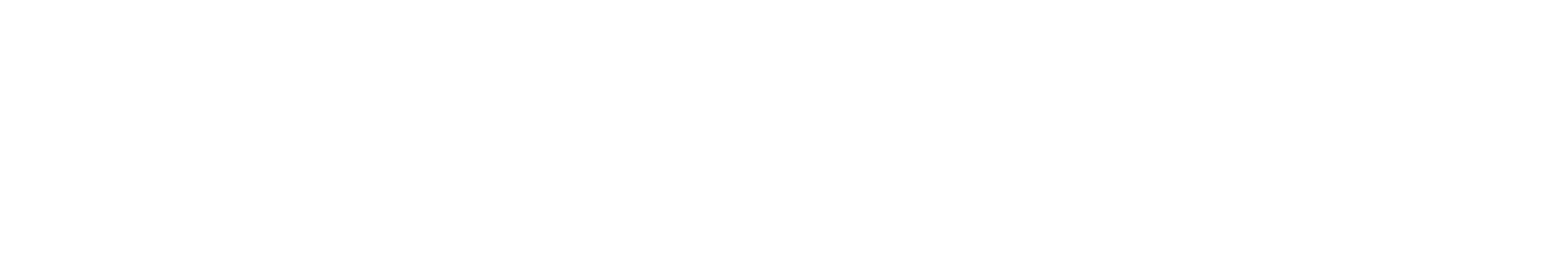 ALEXANDER WANG logo