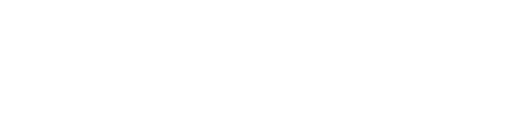 Baltic Born logo