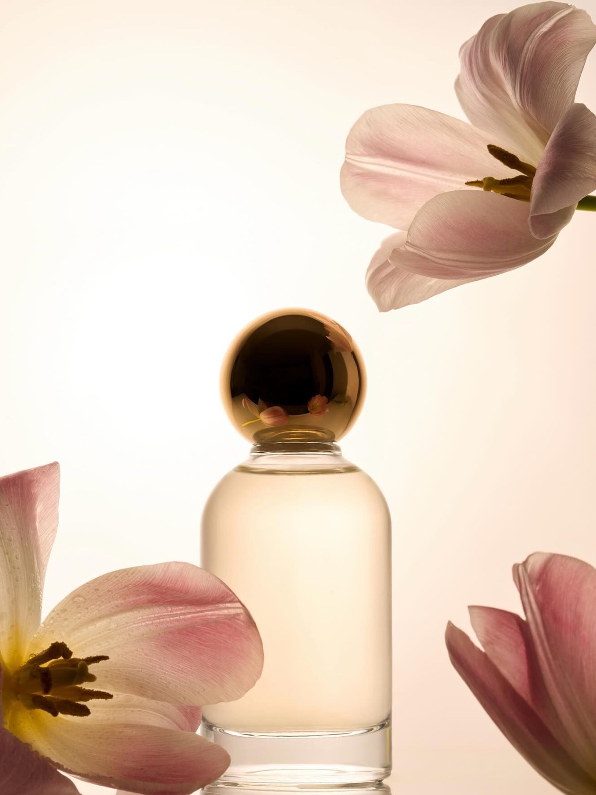 Glass perfume bottle with a round gold cap surrounded by pale pink tulips against a soft cream background