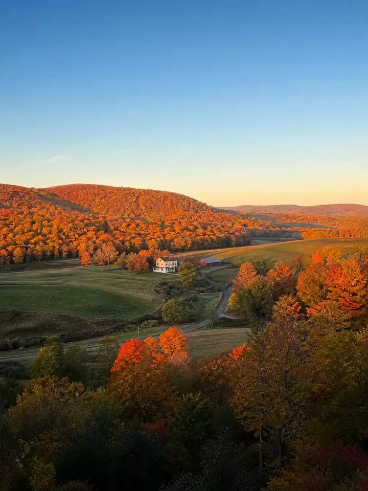 Video: a suitcase packs itself for a wedding upstate from the Phia digital closet