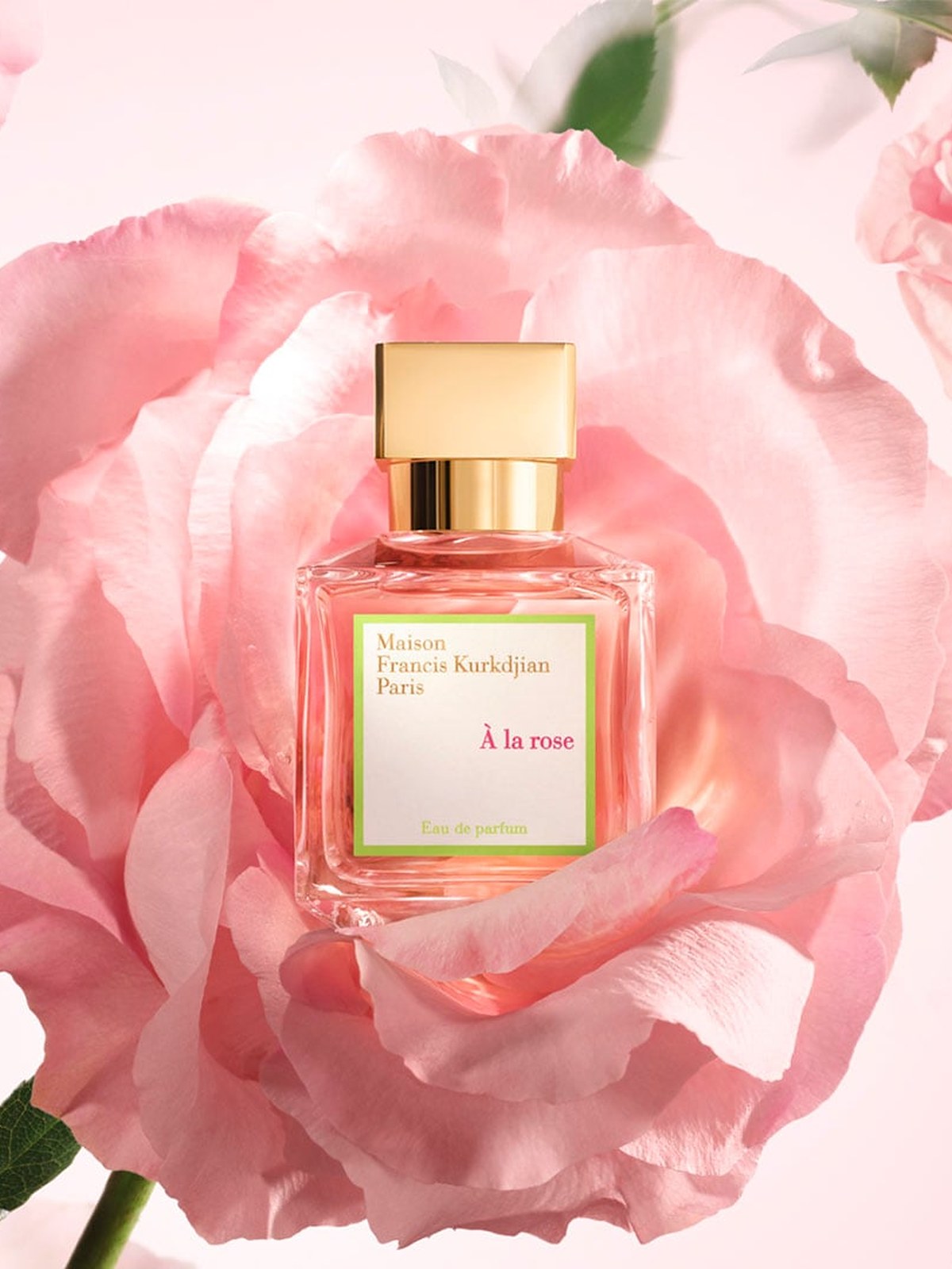 A la rose perfume bottle nestled in a large pink rose