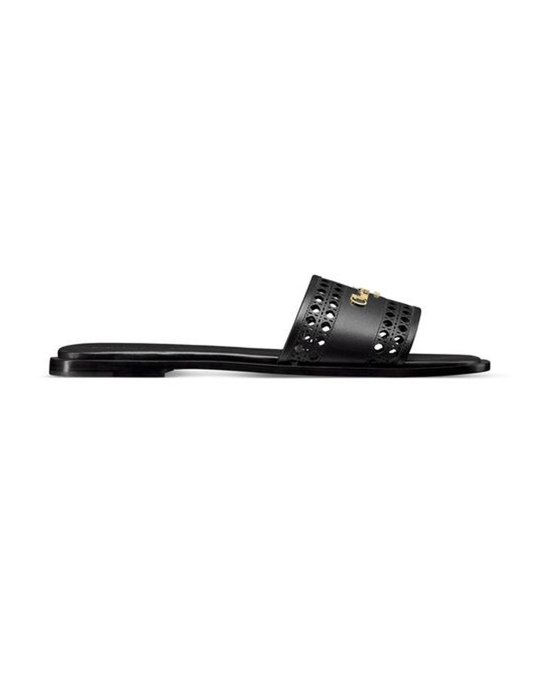 D-Lane Slide