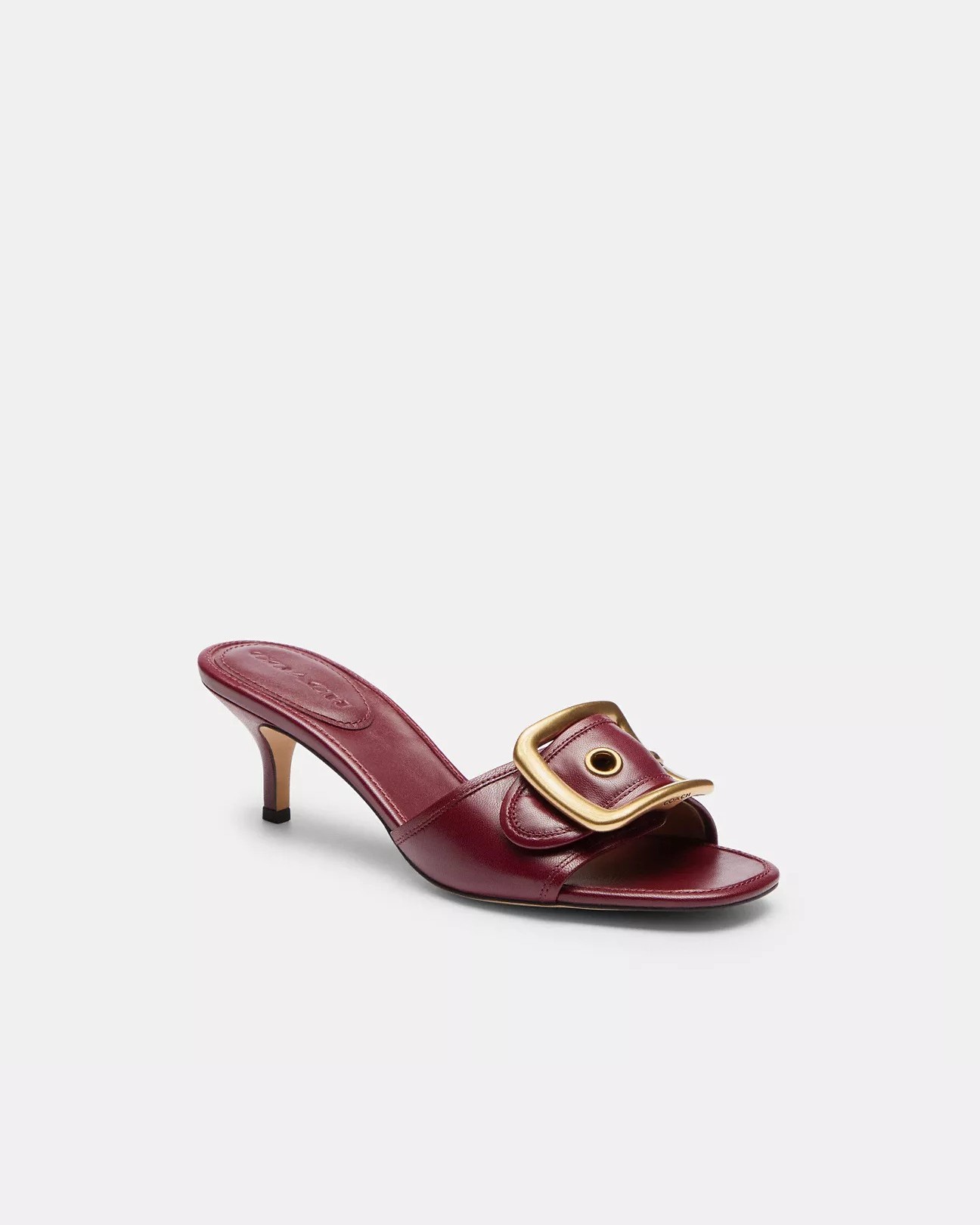 Margot Sandal With Oversized Buckle In Loved Leather