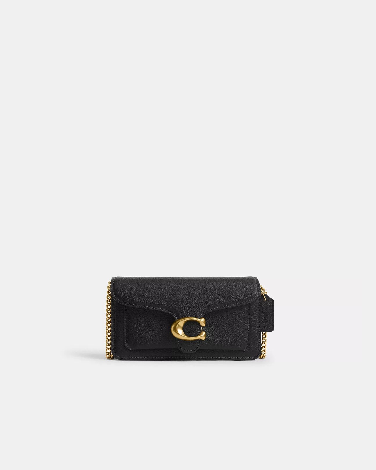 Tabby Chain Crossbody Bag 19