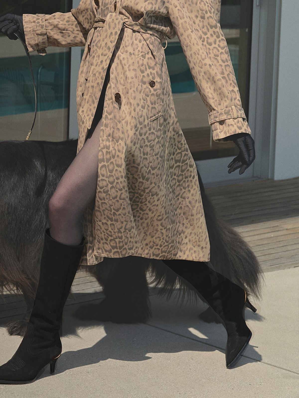 Model in a leopard print trench and black suede knee boots walking a large dog by a pool