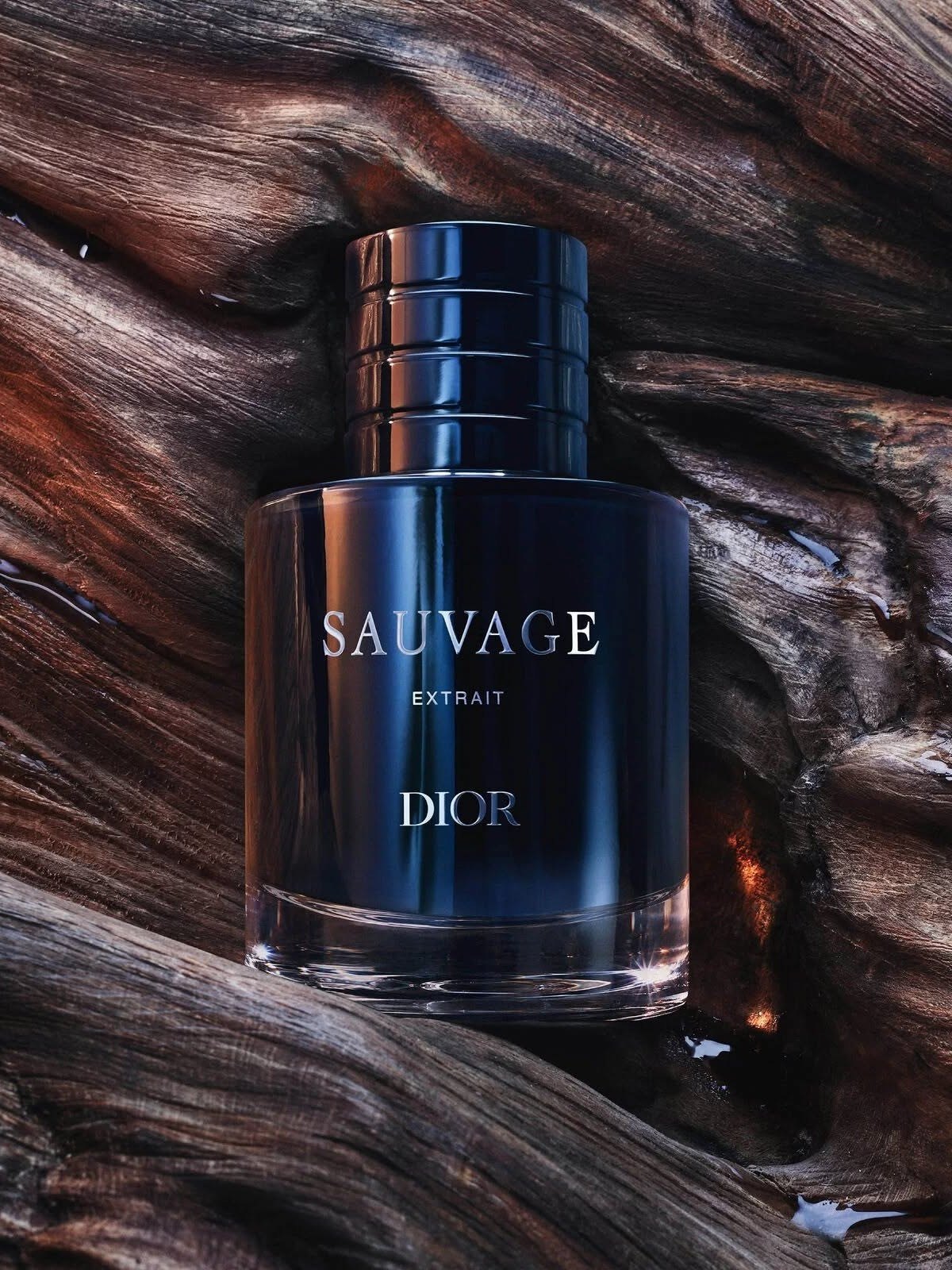 Navy Dior Sauvage Extrait bottle resting on dark driftwood