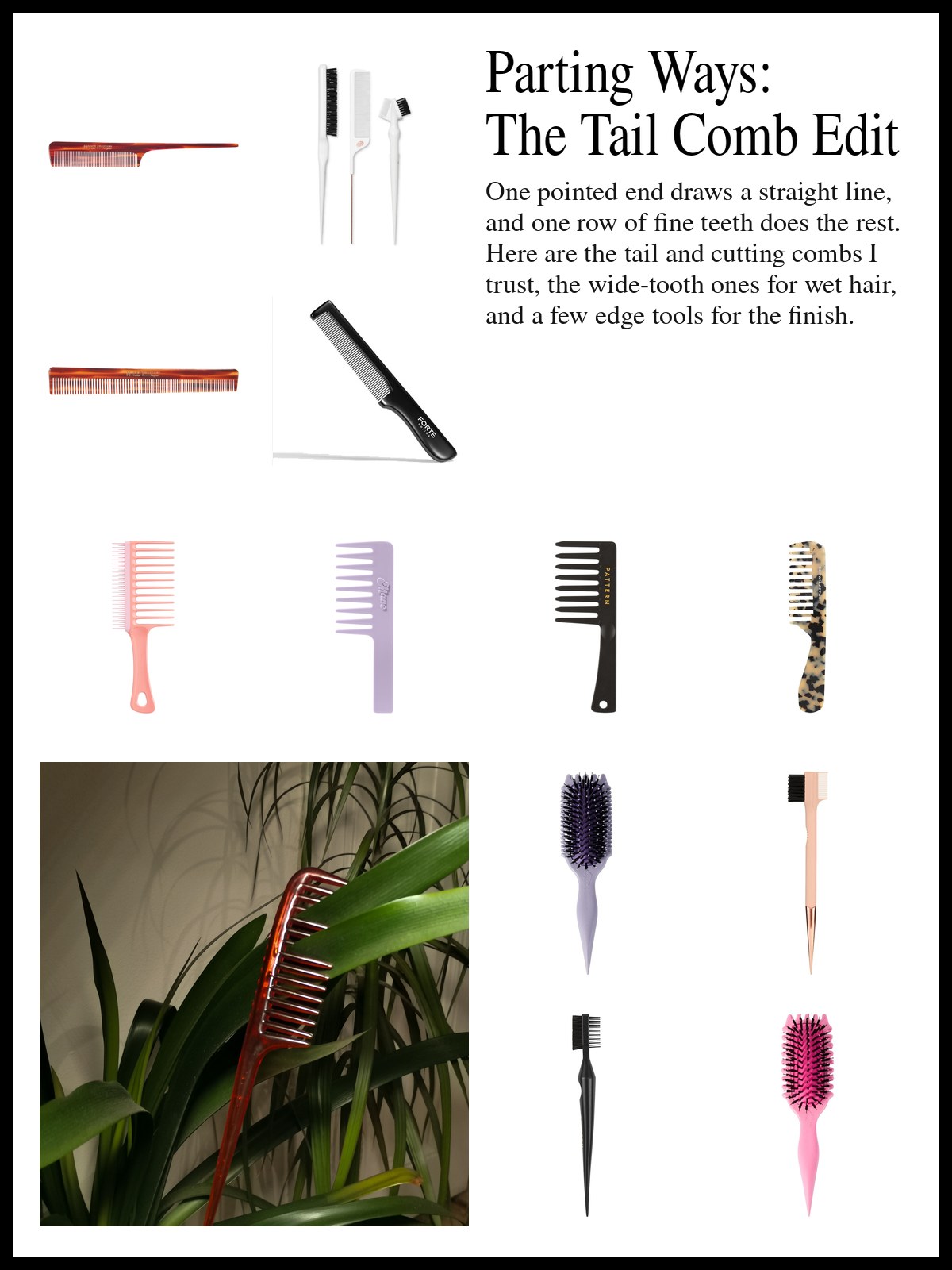 Collage of tail combs, wide-tooth detangling combs and edge brushes, and a mood photo of a tortoiseshell tail comb tucked into a houseplant.