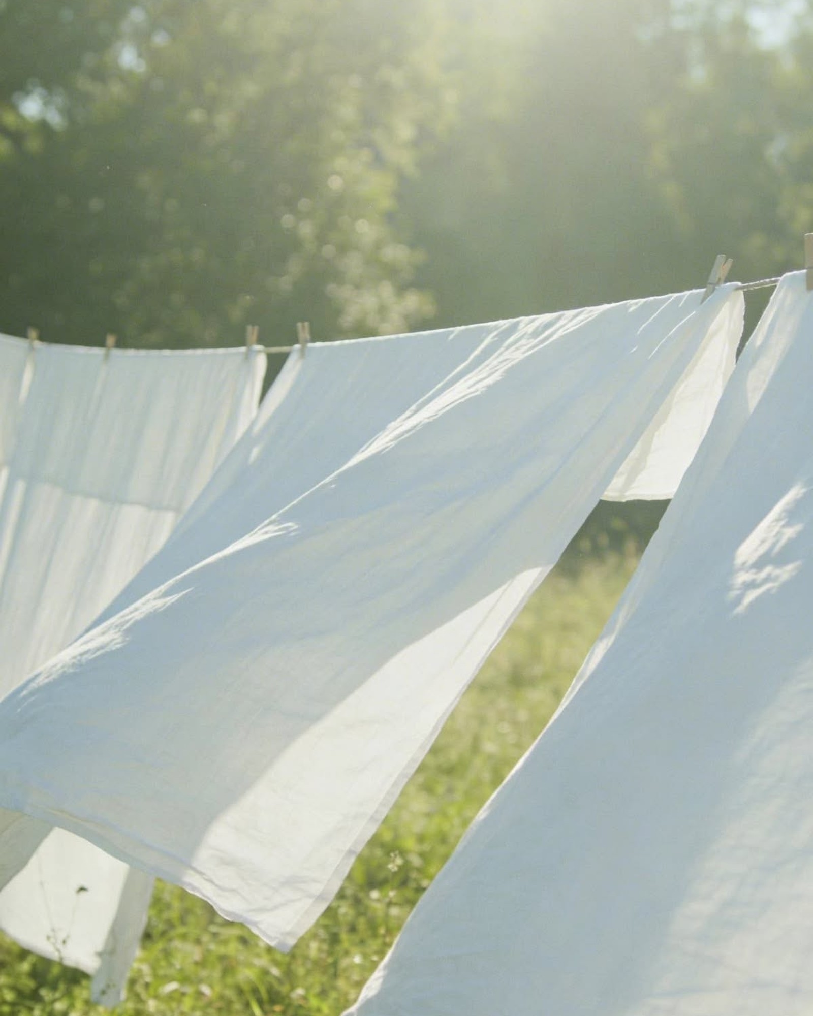 White sheets drying on a clothesline in a sunlit green garden