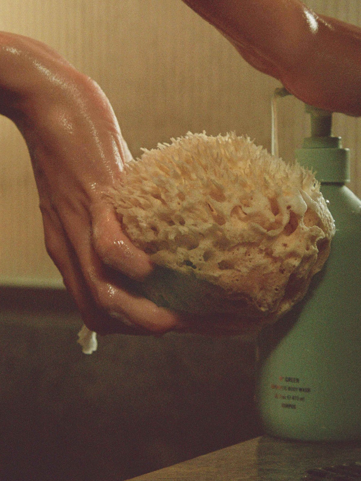 Hands holding a natural sea sponge beside a Corpus body wash bottle