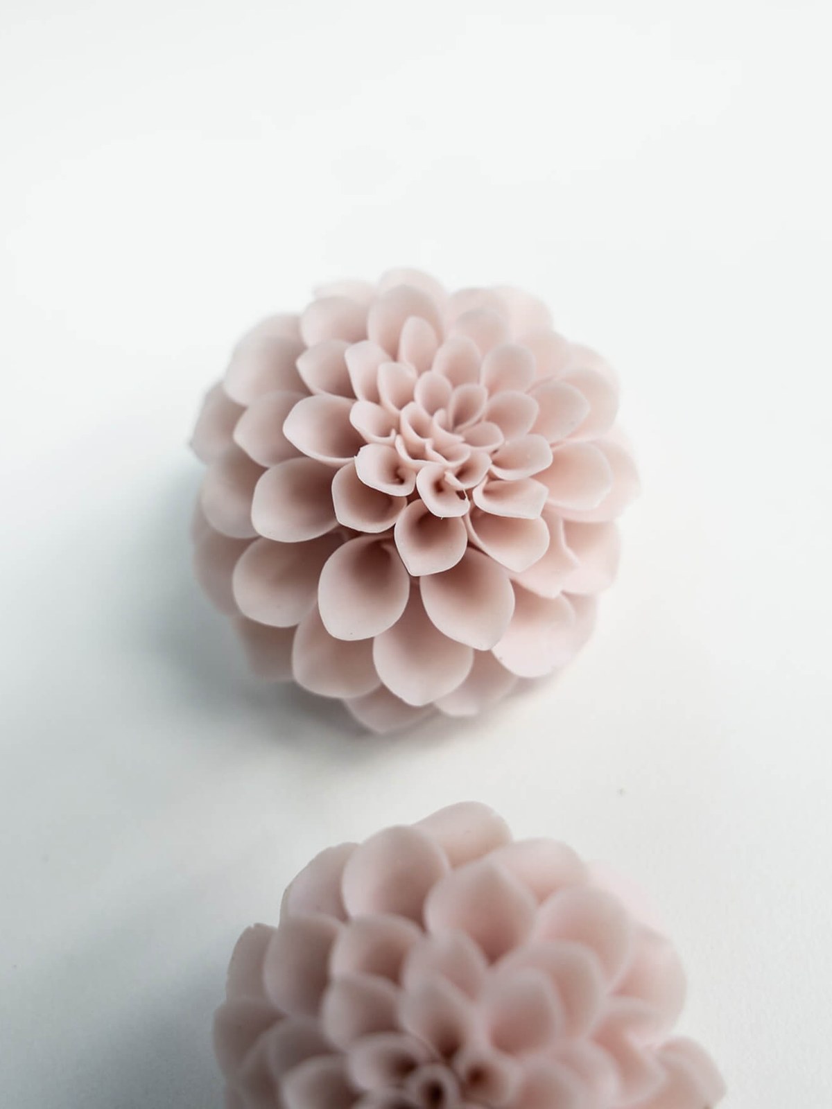 Pink and blue grey porcelain dahlias on a white surface