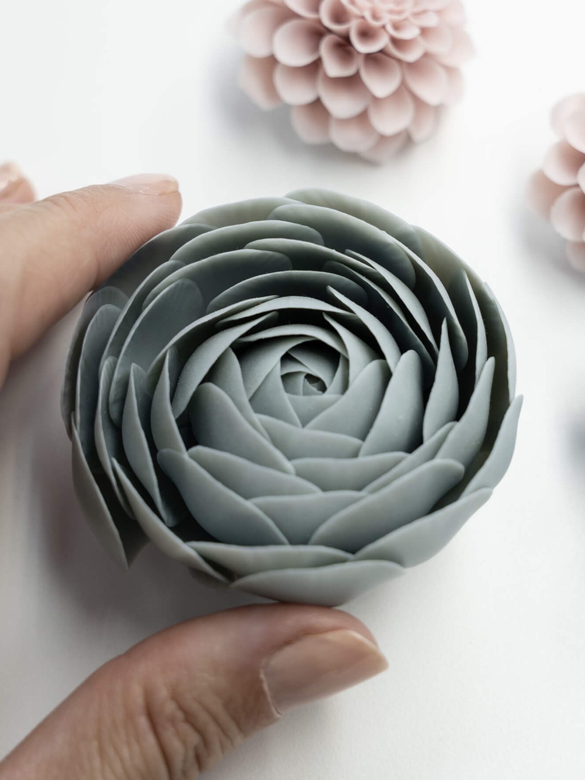 Hand holding a grey green porcelain ranunculus beside a pink dahlia and a blue flower