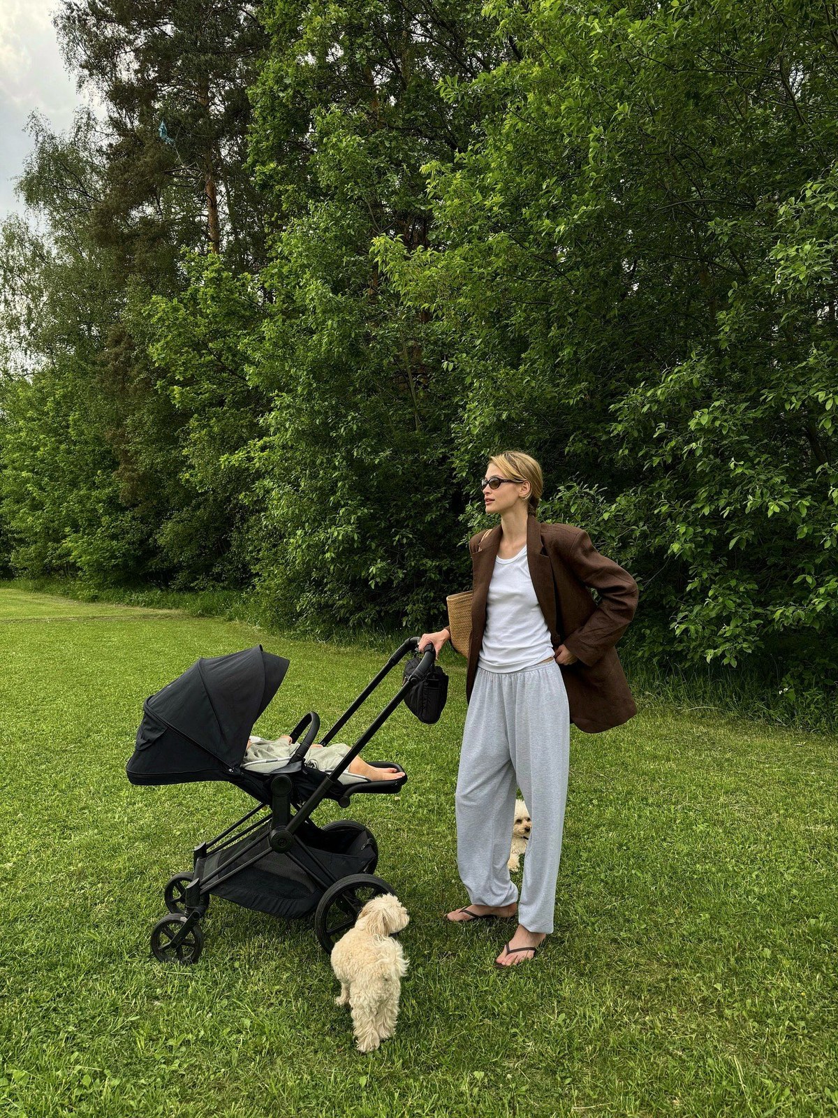 Woman pushing a black stroller across a lawn with a small dog