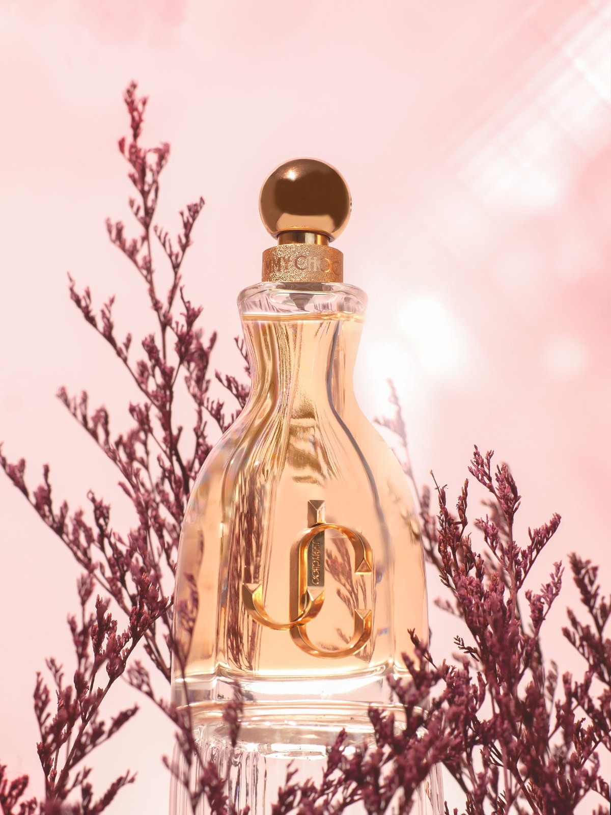 Jimmy Choo perfume bottle backlit among pink dried flowers