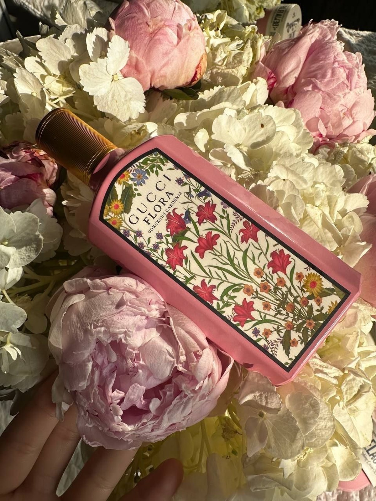 Pink Gucci Flora Gorgeous Gardenia perfume box with a flower print, held over a bouquet of pink peonies and white hydrangeas