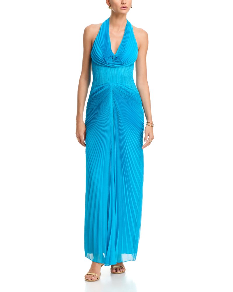 Enly Pleated Ruched Gown