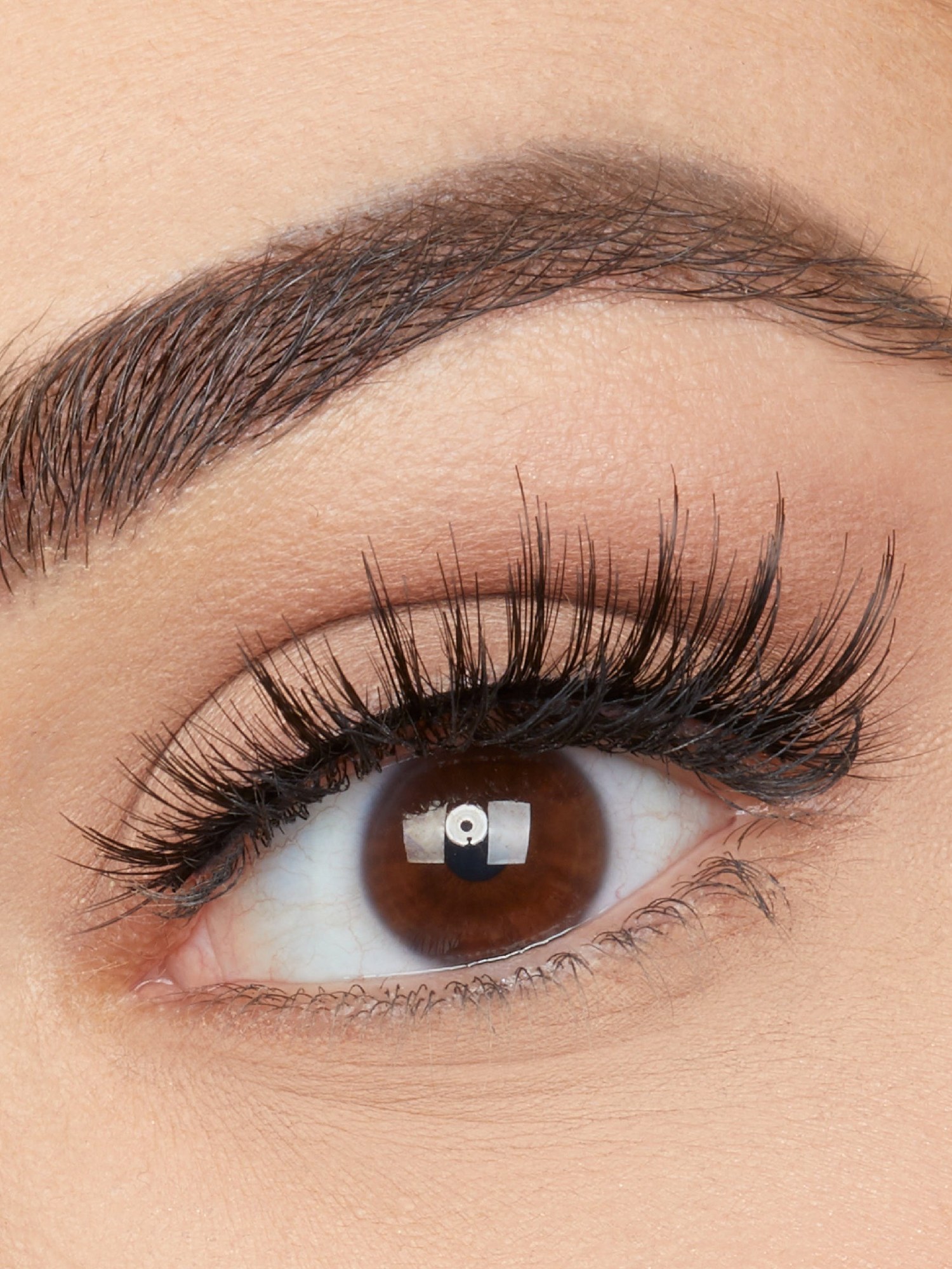 Close-up of an eye wearing dramatic false lashes