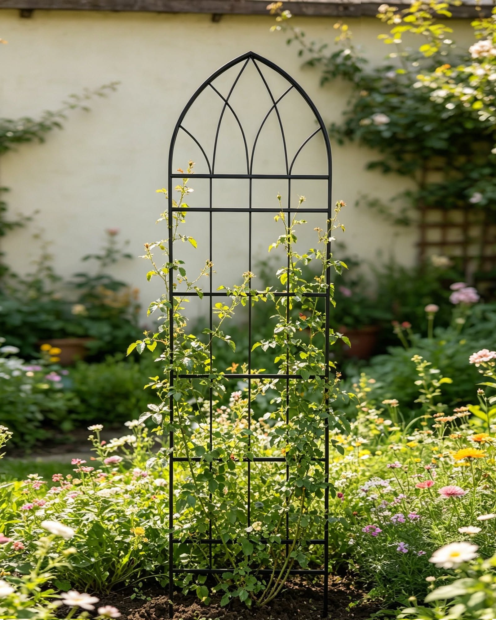 Arched Rose Trellis: Ideas for Climbing Roses and Bare Walls