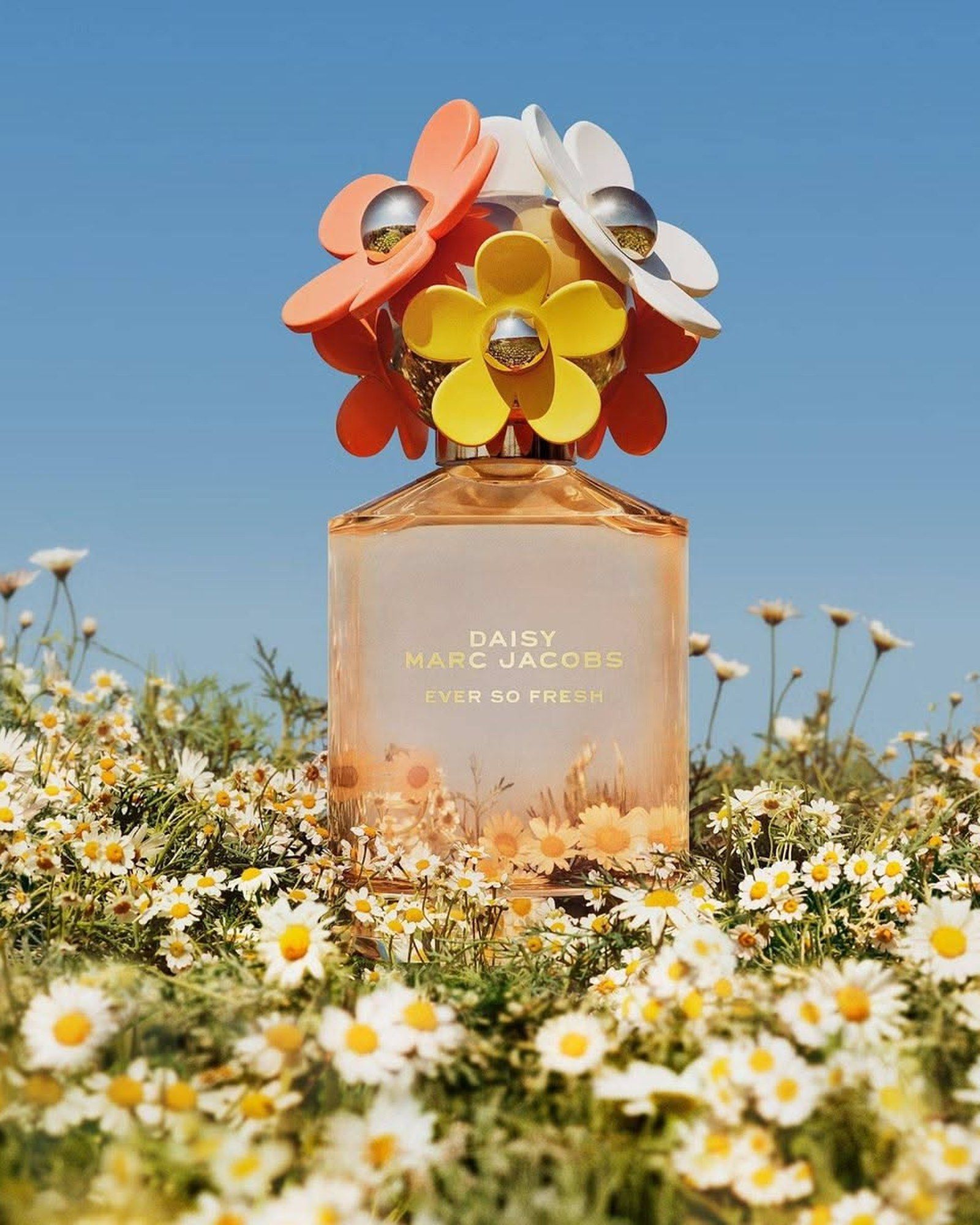 Daisy Love Marc Jacobs And The Daisy Family, With Airy Florals To Wear Next