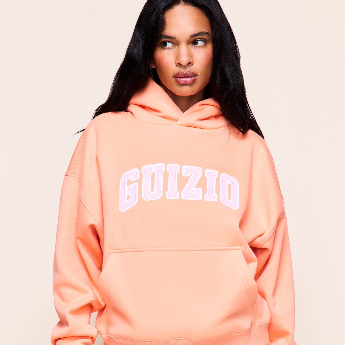Hoodies Under $250