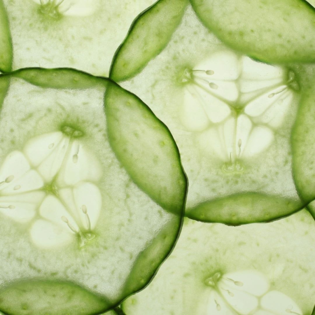 Kiehls Cucumber Herbal Conditioning Cleanser: What Actually Works