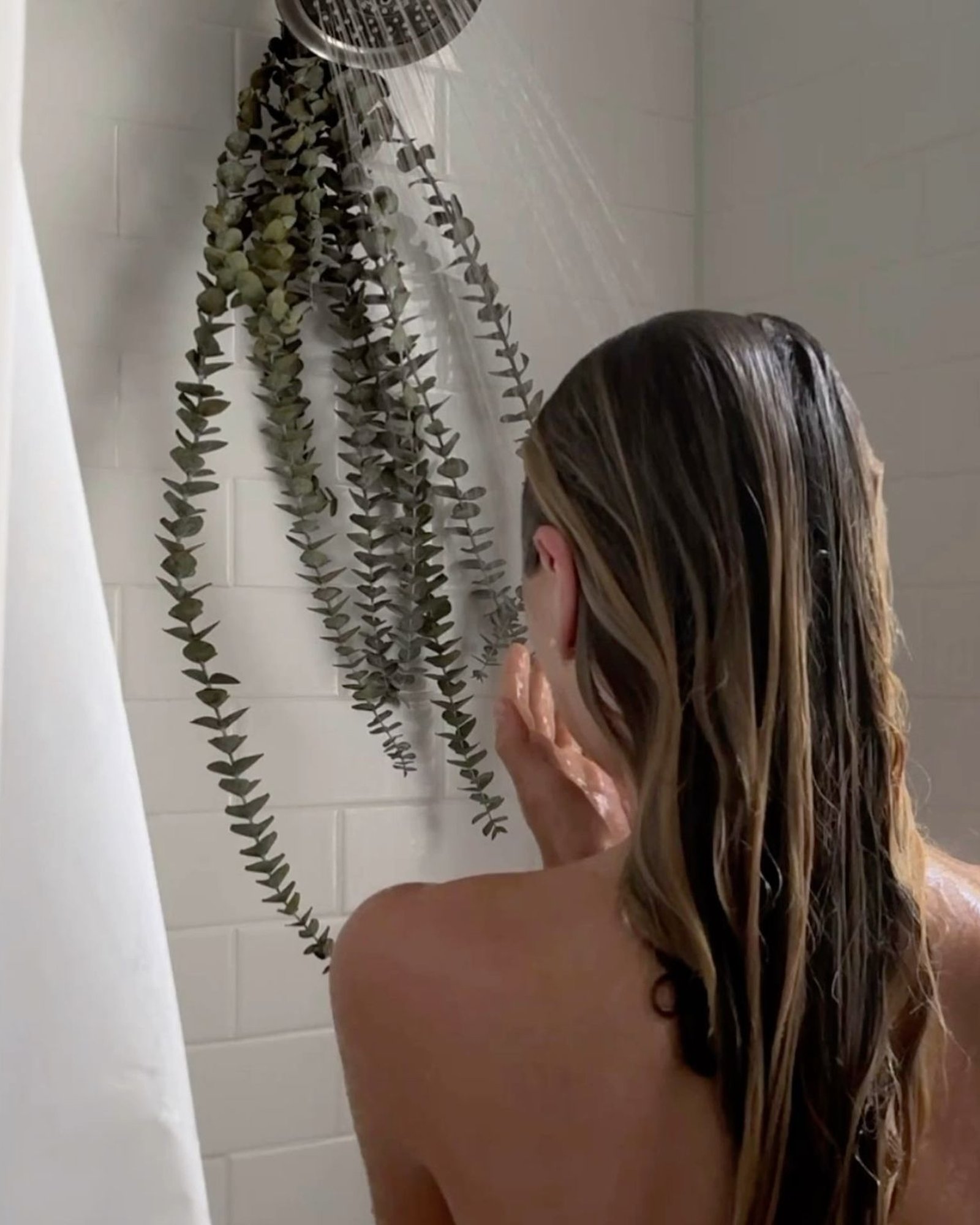 Aromatherapy in the Shower: Eight Shower Steamers to Try