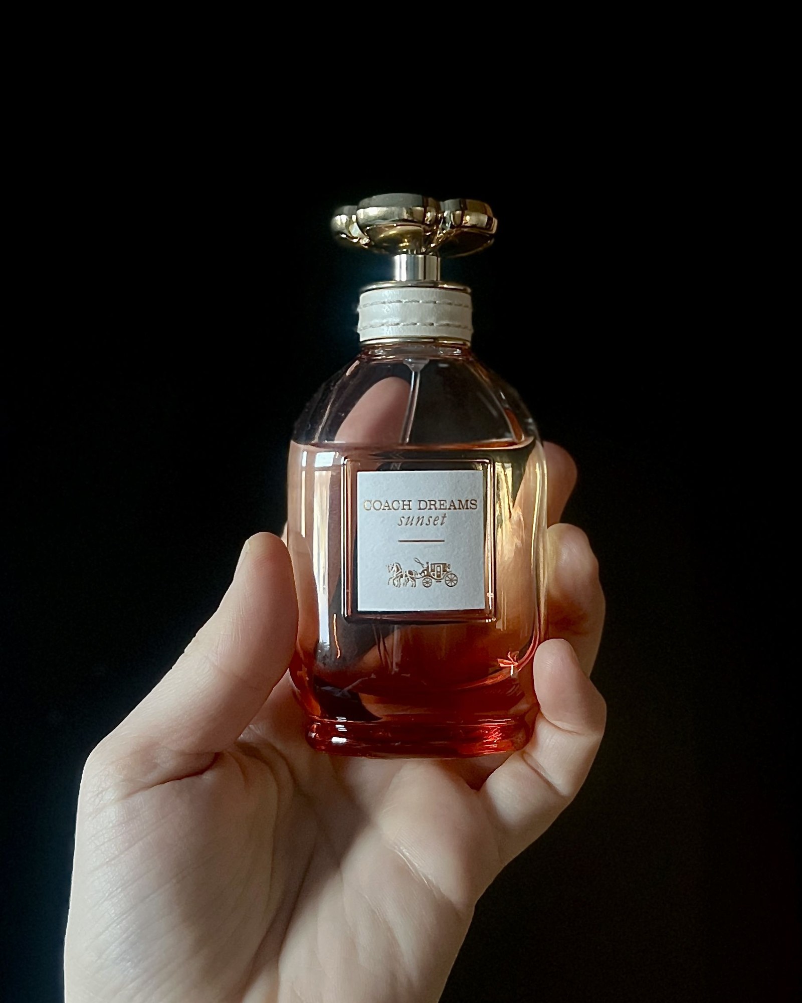 Coach Dreams Sunset and the Pear Sorbet Hour