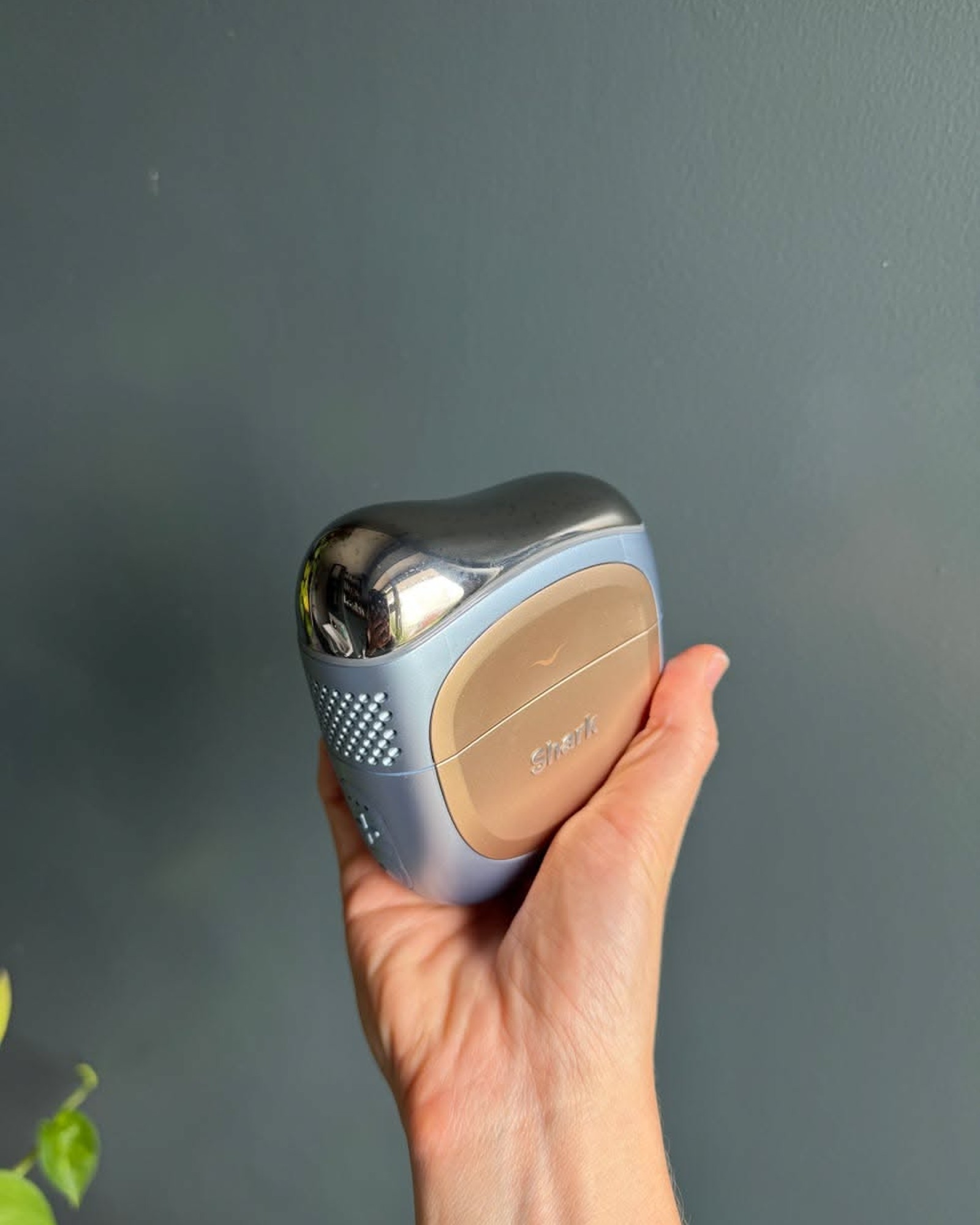 The Shark Facial Pro Glow, and Why Its Reviews Split in Two