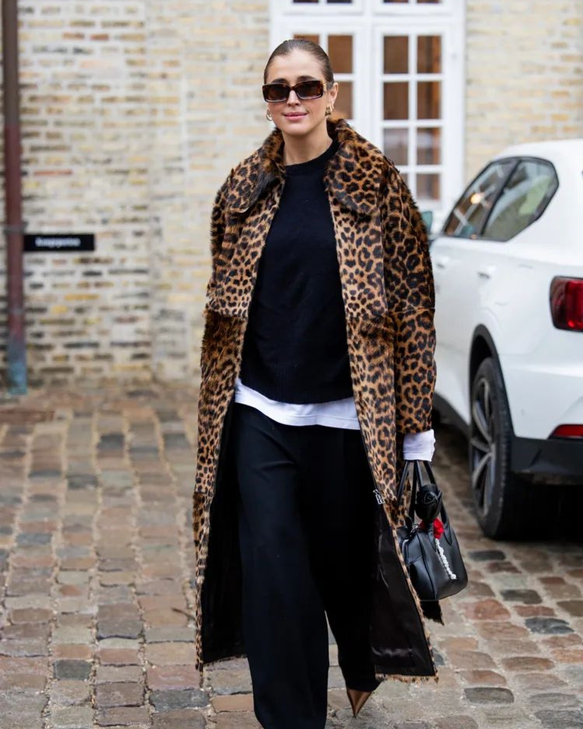 Curated Cheetah