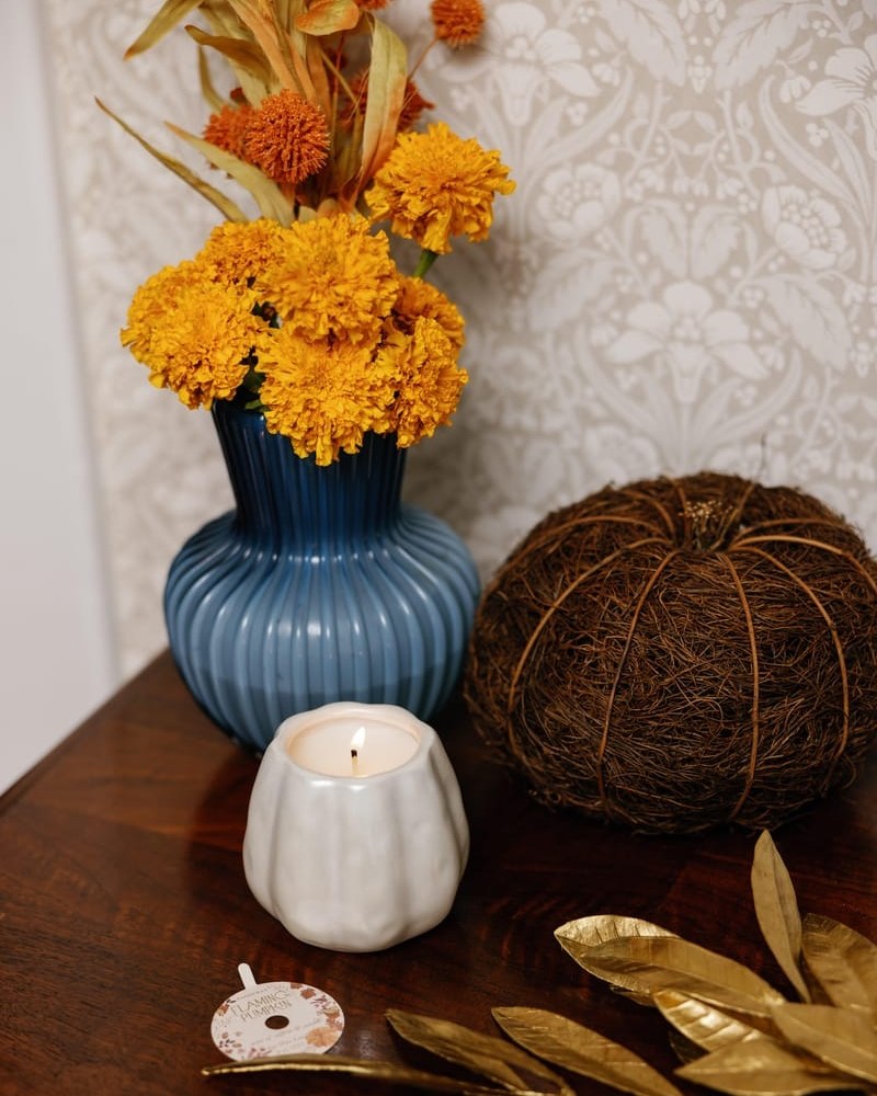 Paddywax Candles: What I'd Actually Buy