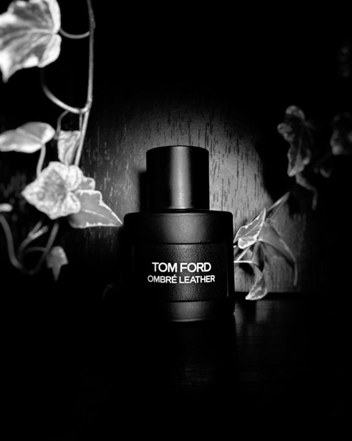 Tom Ford Ombre Leather and the Art of Smelling Like a Good Jacket
