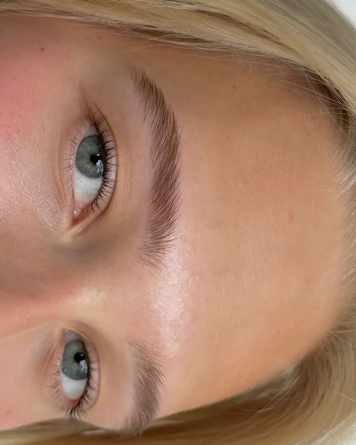Darker Brows Without the 1930s Drama: My Eyebrow Tint Shortlist