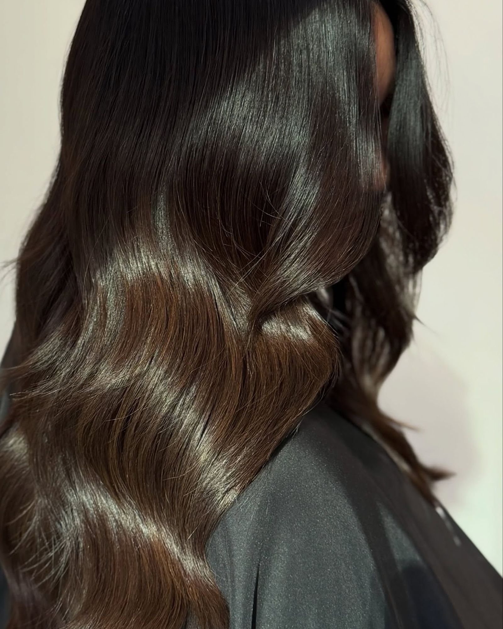 L'Oréal Elvive Shampoo and the French Sap Behind the Name