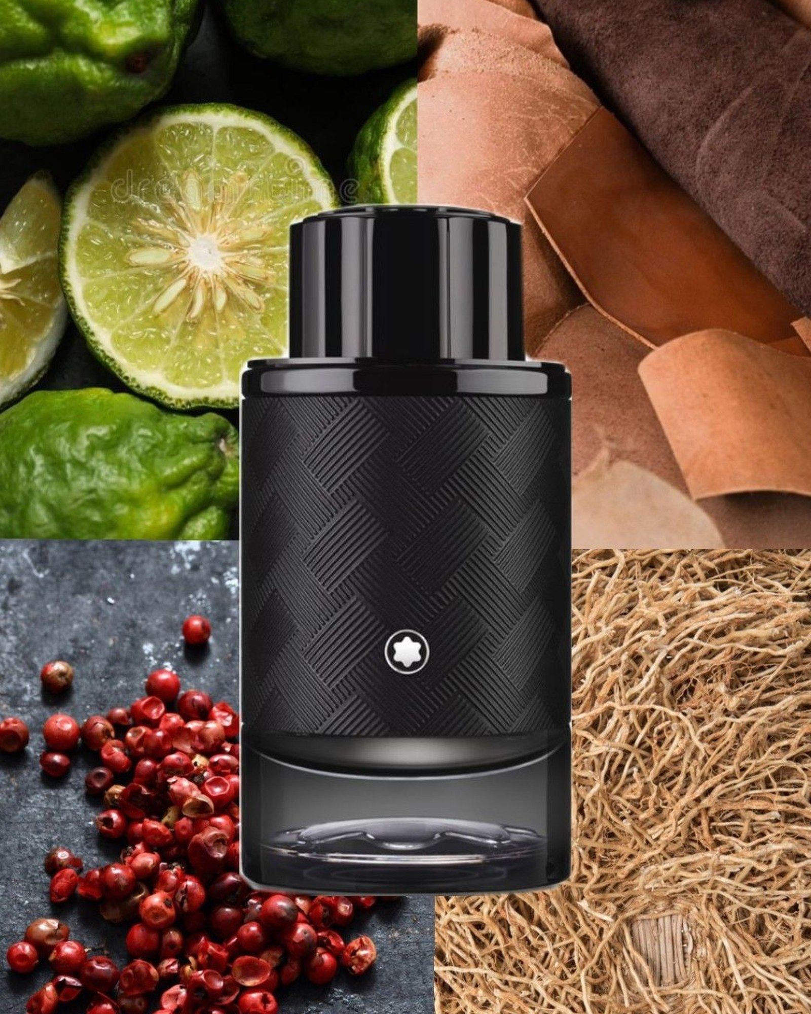 Mont Blanc Explorer: The Woody Aromatic Daily Scent And Its Companions