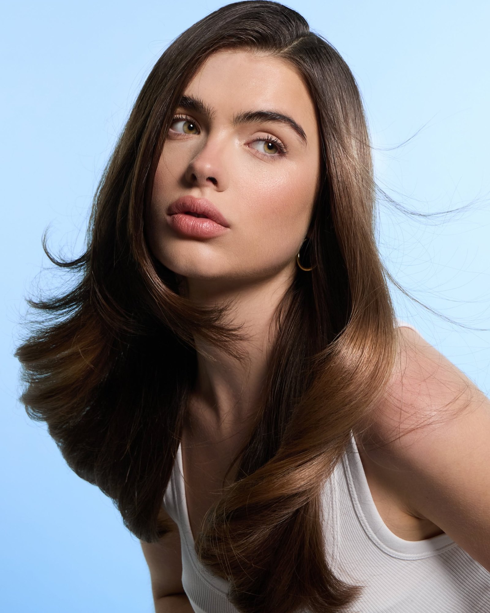 L'Oréal Hair Color: Boxes, Root Touch-Ups, Colour Care And Gloss