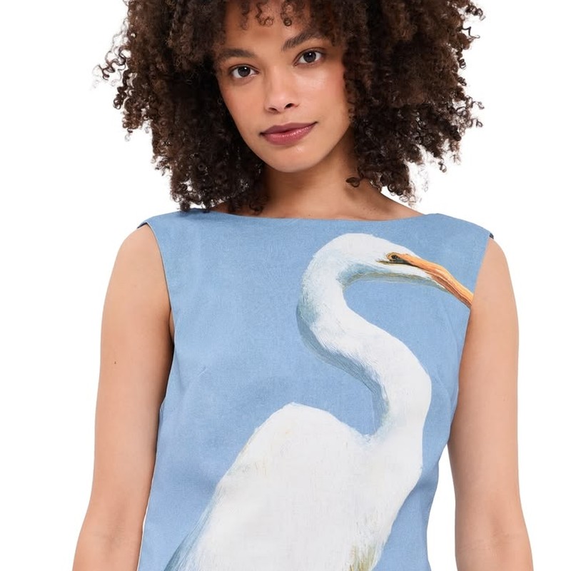 Hobbs Dania Dress: What to Buy
