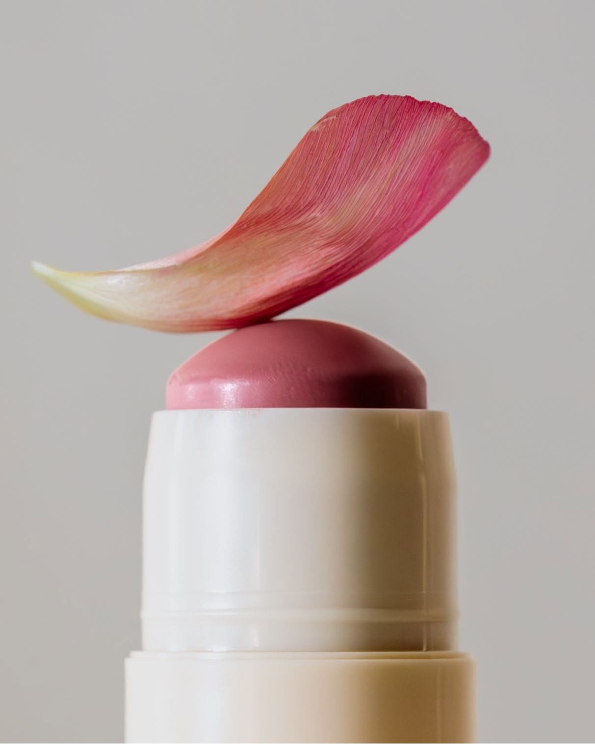 Jane Iredale Started With Five Shades Mixed at a Kitchen Table