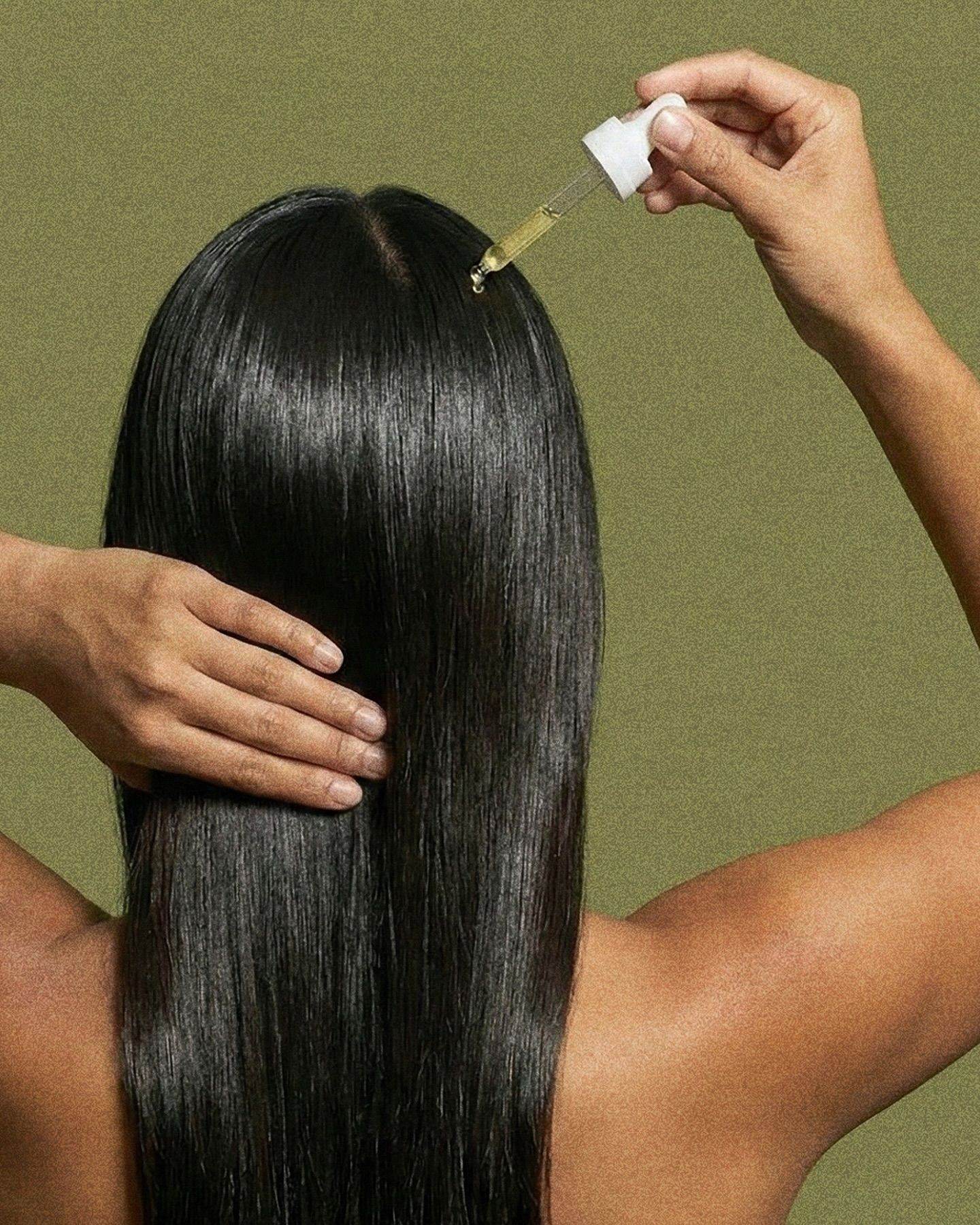 Rosemary Hair Oil and the Study Behind the Trend