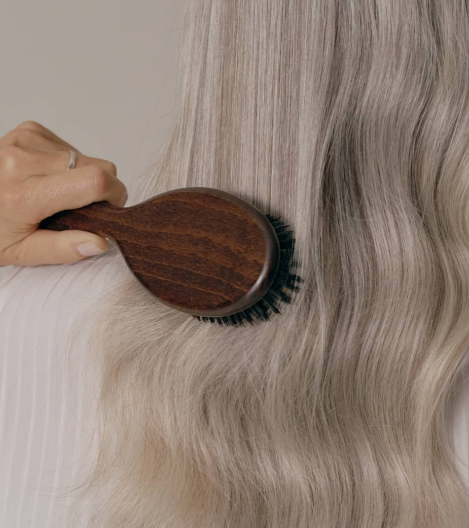 Bristle Brush