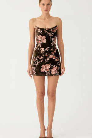 Anna Embroidered Mini Dress