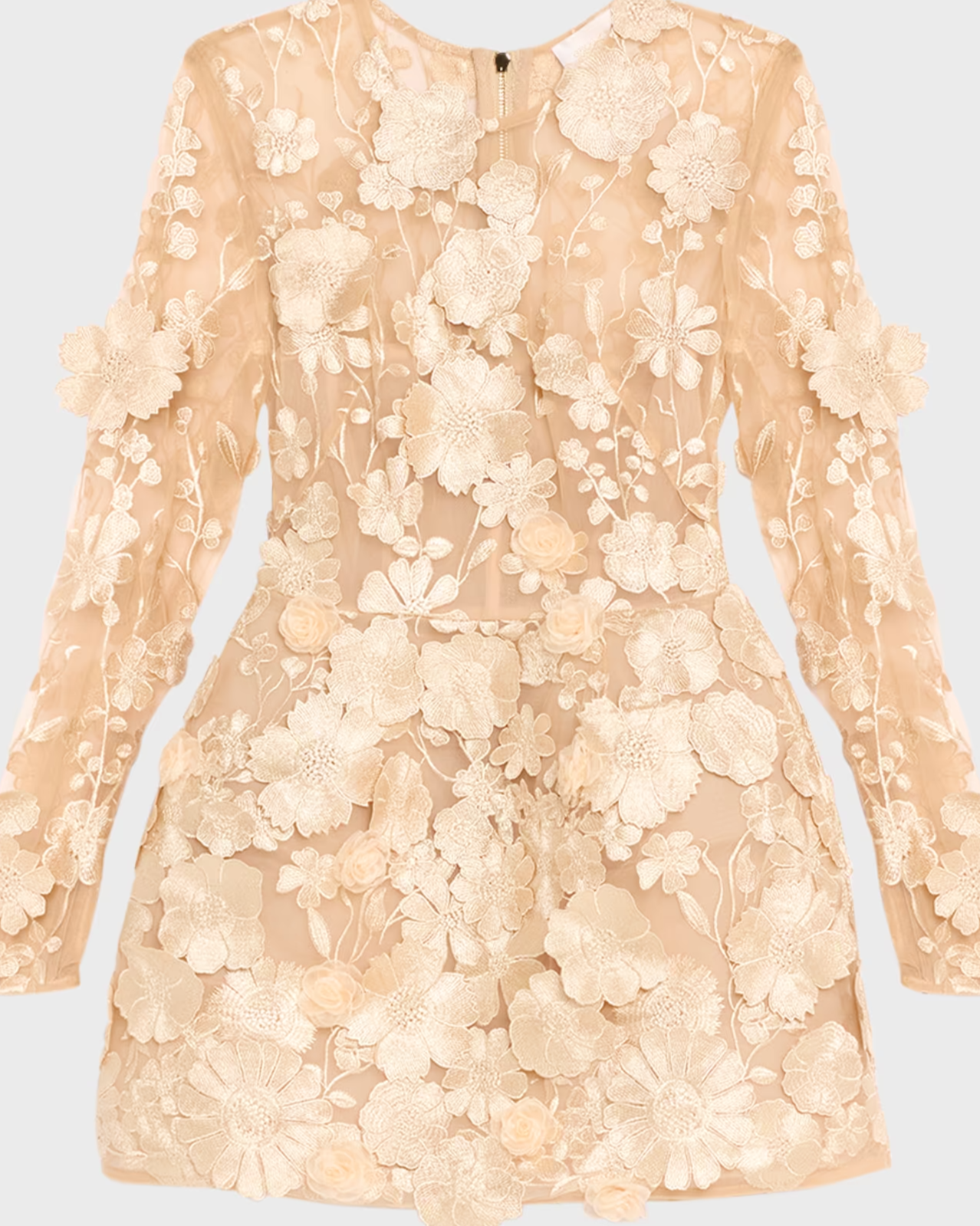 Bouquet Maraya Embroidered Illusion Mini Dress