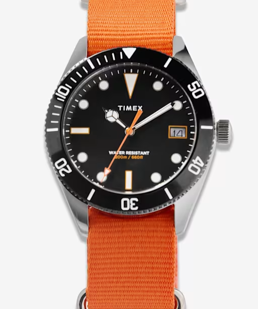 Timex x Bespoke Post Heritage 66 Watch